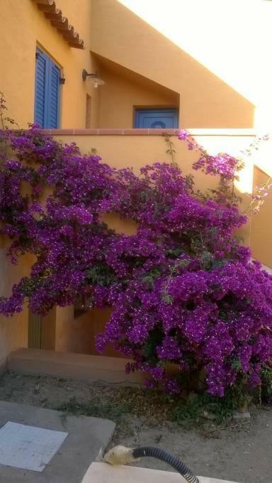 casa sa ide Villa Torre dei Corsari Exterior foto